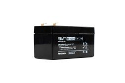 Аккумулятор свинцово-кислотный Бастион SKAT SB 12012